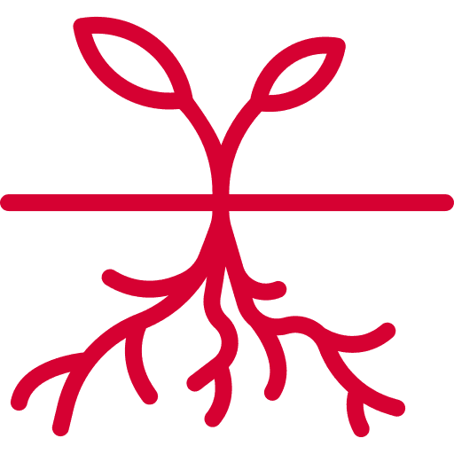 Long-term value over short-term gains