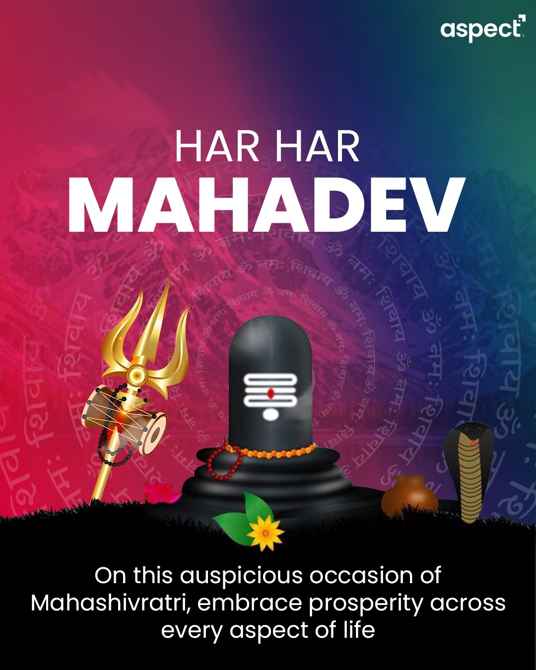 Har Har Mahadev, Mahashivratri at Aspect